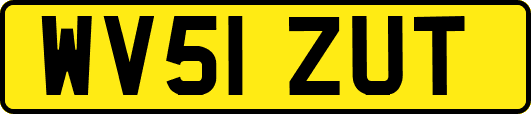 WV51ZUT