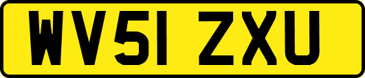 WV51ZXU