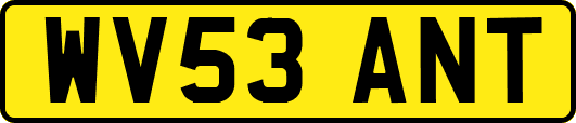 WV53ANT