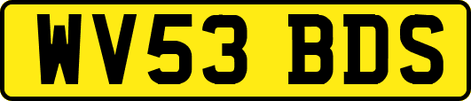 WV53BDS