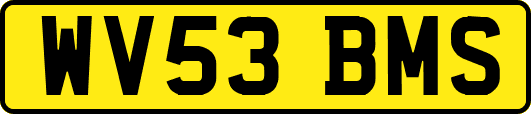 WV53BMS