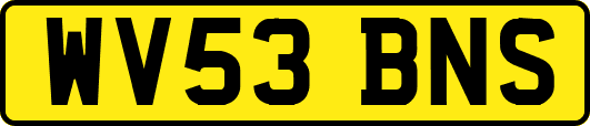 WV53BNS