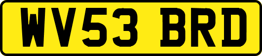 WV53BRD
