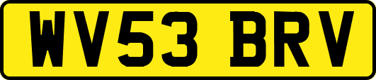 WV53BRV