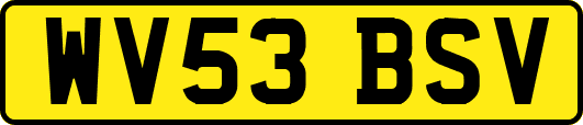 WV53BSV