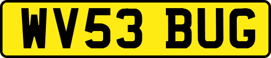 WV53BUG
