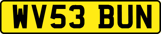 WV53BUN