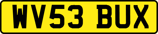 WV53BUX