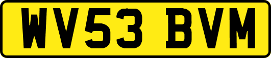 WV53BVM