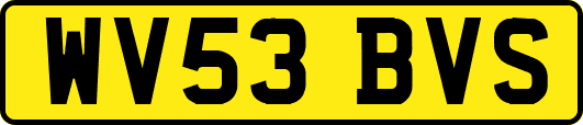 WV53BVS