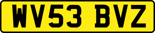 WV53BVZ