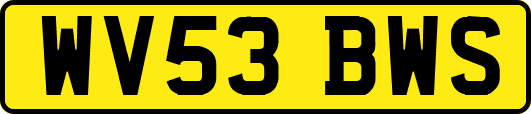 WV53BWS