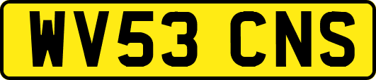 WV53CNS