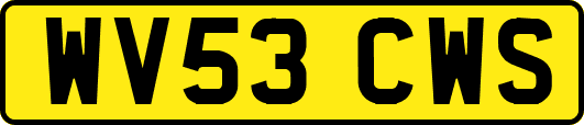 WV53CWS