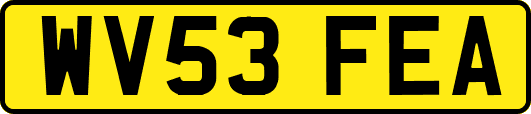 WV53FEA