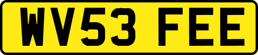 WV53FEE