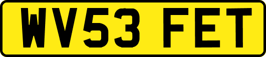 WV53FET