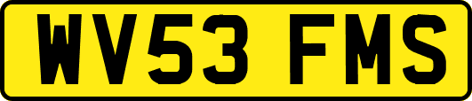 WV53FMS