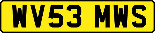 WV53MWS