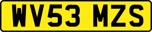 WV53MZS