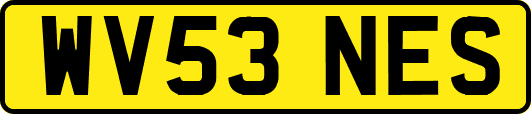 WV53NES