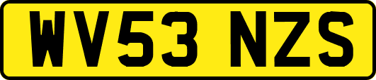 WV53NZS
