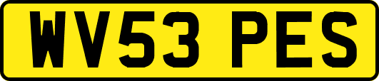 WV53PES