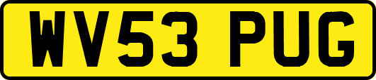 WV53PUG