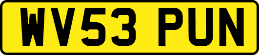 WV53PUN
