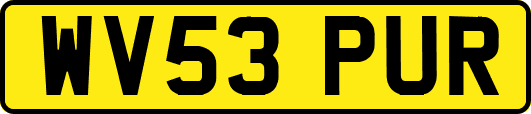 WV53PUR