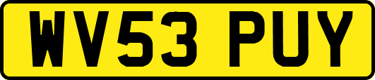 WV53PUY