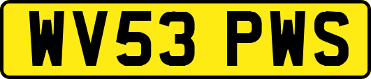 WV53PWS