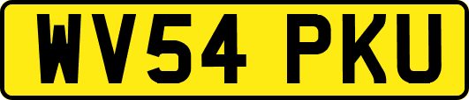 WV54PKU