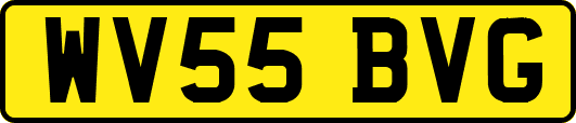 WV55BVG