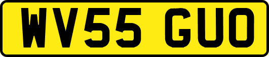 WV55GUO