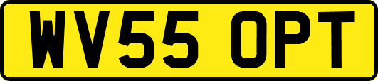 WV55OPT