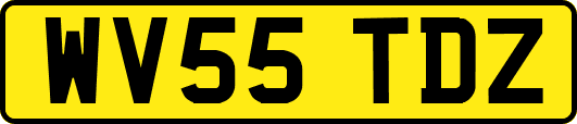 WV55TDZ