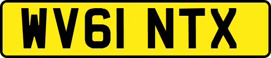 WV61NTX