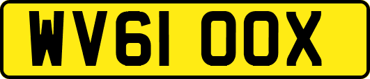 WV61OOX