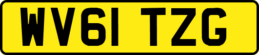 WV61TZG