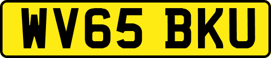 WV65BKU