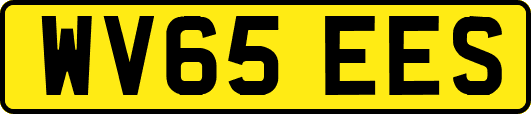 WV65EES