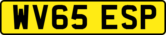 WV65ESP