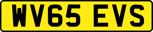 WV65EVS