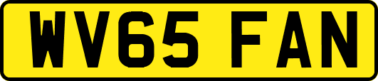 WV65FAN
