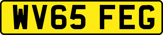 WV65FEG