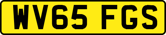 WV65FGS