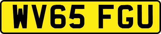 WV65FGU