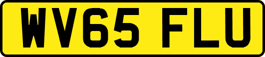 WV65FLU