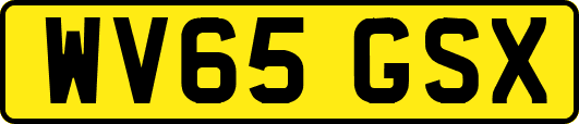 WV65GSX